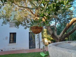 Casa Montesel